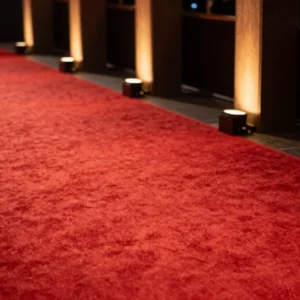 حضور كضيفة شرف للفعاليات الفخمة